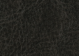 554 C 554 C