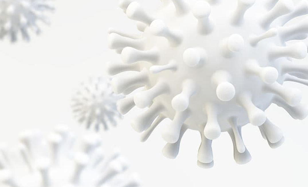 virus virus